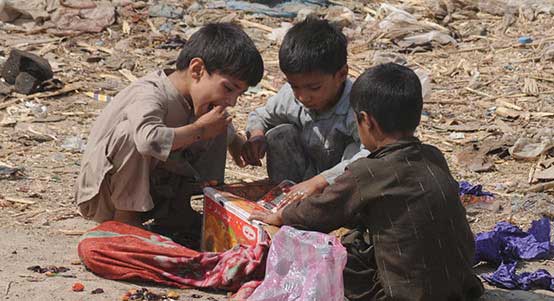 小黑ddos压力测试平台